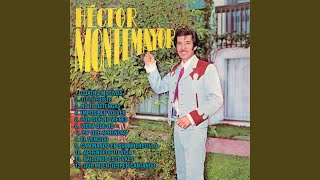 Video thumbnail of "Héctor Montemayor - Cuatro Motivos"