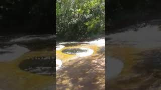Cachoeira do Mutum