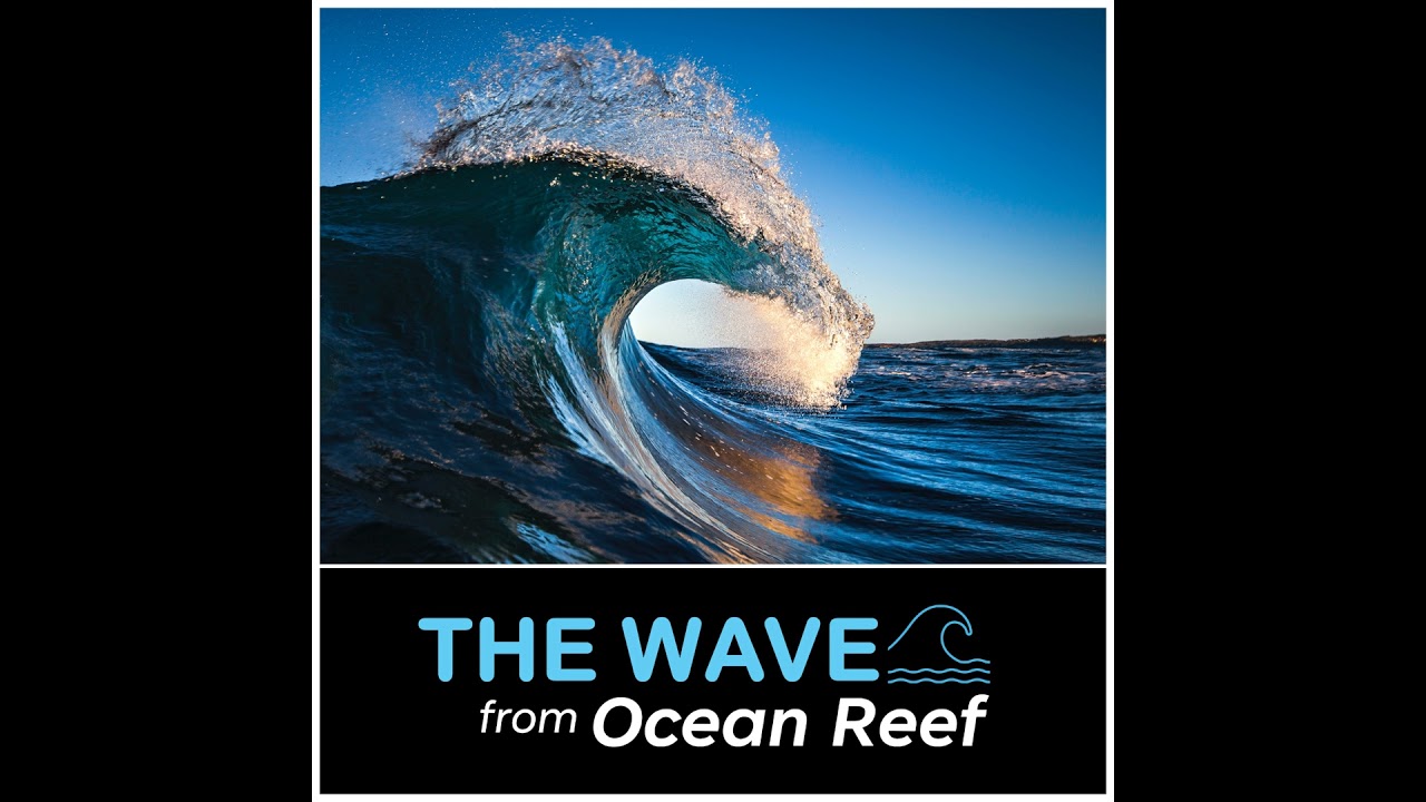 The Wave from Ocean Reef