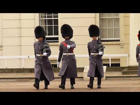7 Company Coldstream Guards