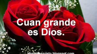 IMAGENES CRISTIANAS DE ROSAS