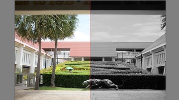 Minimalist Photography Workflow for Leica-Style B&W Images