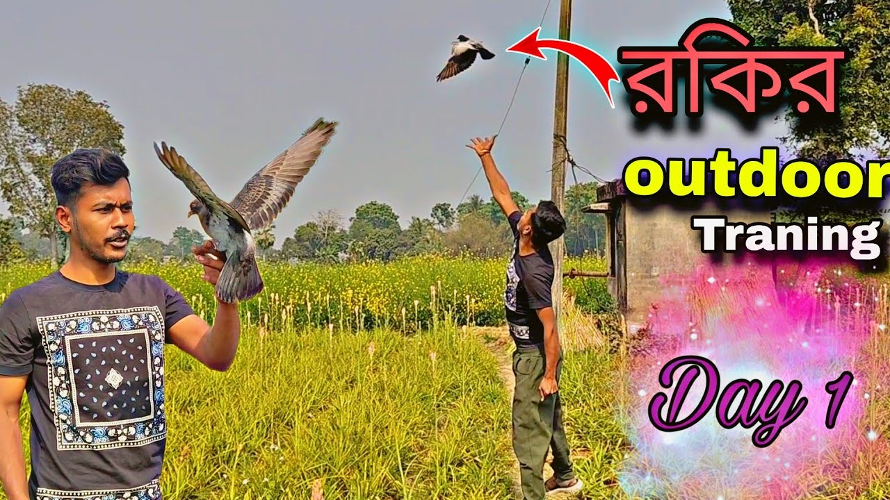 আজ Rocky কে মাঠে নিয়ে গেলাম 🔥 outdoor training (Day-1)#myworld #pigeontraining 