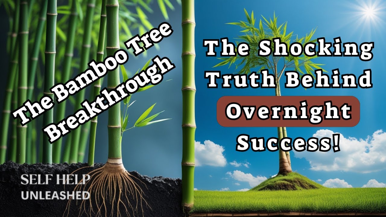 The Shocking Truth Behind Overnight Success The Bamboo Tree Secret