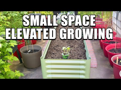 Grow Big in Small Spaces! (The Ultimate Small Space Growing Solution!)