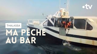 Un jour de pêche (au bar) Thalassa