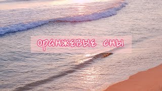 러시아가요 оранжевые сны 가사 한국어 번역