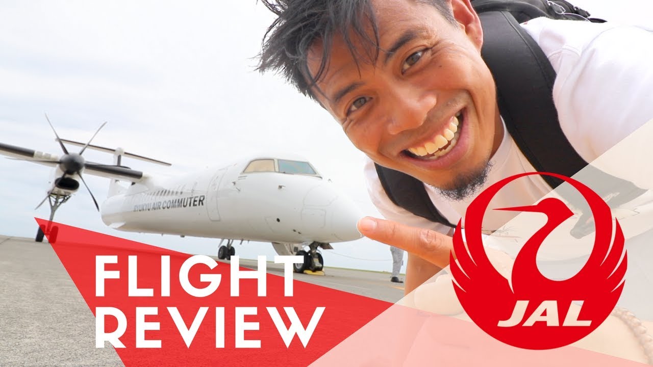 JAL Japan Airlines Flight Review | Is this their SMALLEST AIRPLANE EVER?