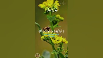 "وَأَوْحَى رَبُّكَ إِلَى النَّحْلِ" | تلاوة خاشعة بصوت عبد الباسط عبد الصمد #viralvideo #viral