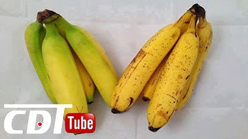 Cách phân biệt chuối chín tự nhiên và chuối ép chín bằng hoá chất | CDT NEWS