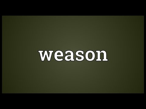 Header of weason