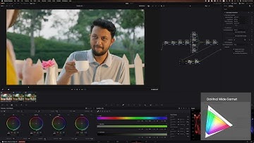 Master Color Grading in DaVinci Resolve Using DCTL Plugins (2024)