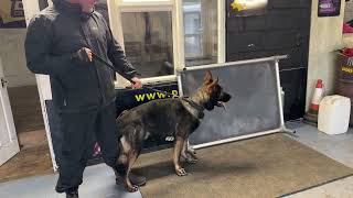 Client 1-1 Protection training real life role play 