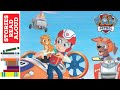 Paw Patrol | Itty Bitty Kitty Rescue | Paw Patrol Stories Read Aloud For Kids