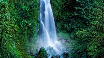 Roaring Waterfall White Noise | Falling Water Sounds for Sleeping