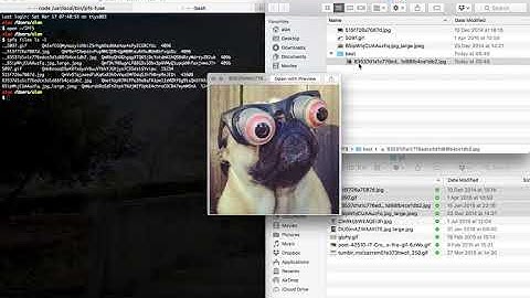 Mount IPFS MFS as a FUSE volume using Node.js
