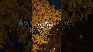 1日1日を大切に！心に響く至極の名言で人生が輝く