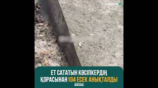 Ет Сататын Кәсіпкердің Қорасынан 104 Есек Анықталды