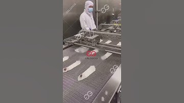 Three Rows of Spring Rolls Line