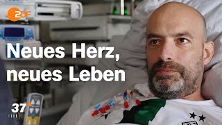 Organspende: Dirk bekommt eine zweite Chance I 37 Grad