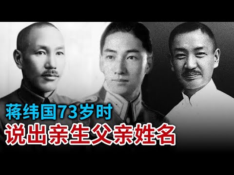 《穿成寡妇忙养娃》全集完整版（大结局）