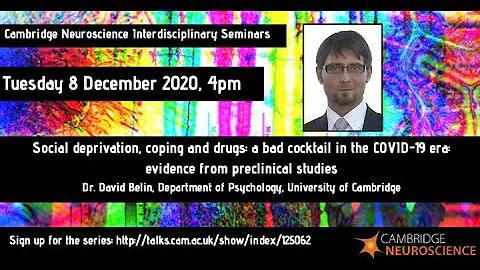 Cambridge Neuroscience - David Belin Social depriv...