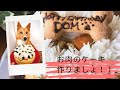 簡単！犬用誕生日ケーキ