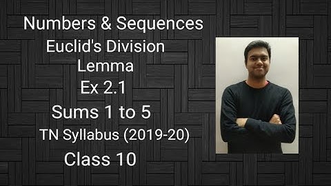 Numbers & Sequences | Euclid