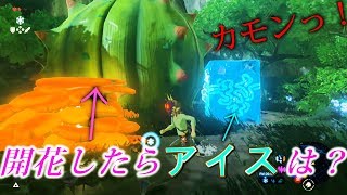 大妖精の泉が開花する時に、隣にアイスメーカーや人間がいたら・・？【ゼルダの伝説ブレスオブザワイルド】検証　実況