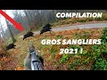 COMPILATION GROS SANGLIERS 2021 !!!