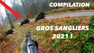 COMPILATION GROS SANGLIERS 2021 !!!