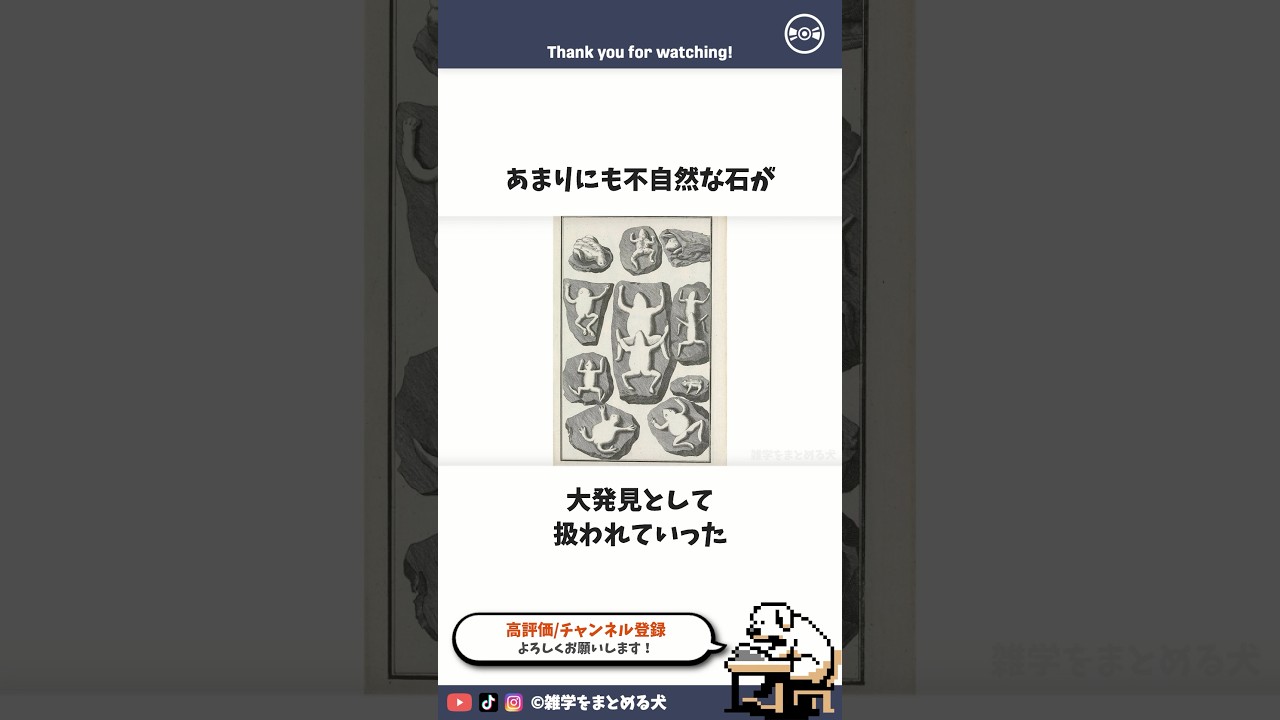 ベリンガーの嘘石 #雑学 #まとめる犬