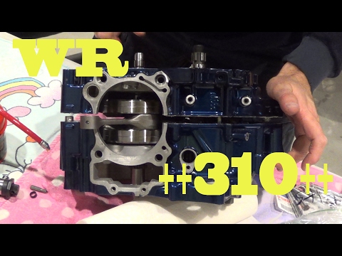 ++Athena++ 2.0 WR310R engine build - Pt.1 - bottom end