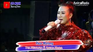 PACE MATENG || TYA NEVANIA || DIAN ANIC ANICA NADA || Tarling Tengdung Cirebonan