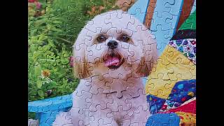 Jigsaw Puzzle # 151 Cute Shih Tzu Puppy Sitting on a Colorful Quilt (100 Piece) Cra-Z-Art 2017  screenshot 5