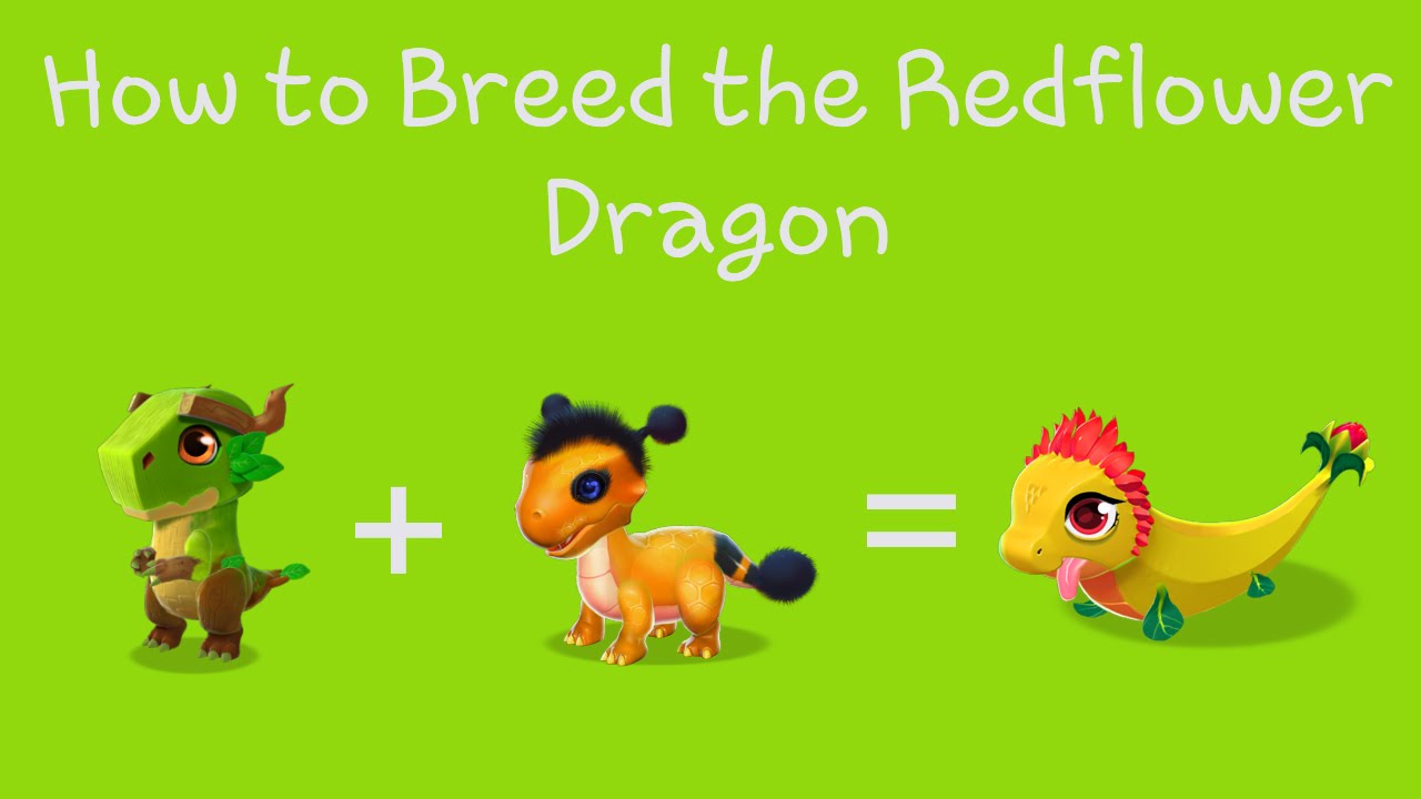 how to get a sunflower dragon in dragon mania legends how to get a sunflower dragon in dragon mania legends
