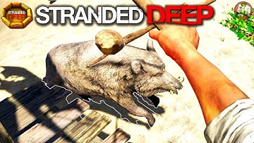 Day Five Survival - Big Hunt New Island | Stranded Deep Gameplay | Part 5