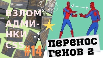 Взлом админки css: #14 Перенос генов 2