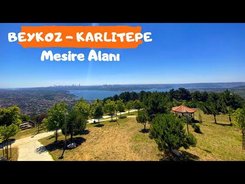 KARLITEPE MESİRE ALANI - Beykoz'da Boğaz Manzarasıyla Piknik Alanı (İstanbul Piknik Yerleri)