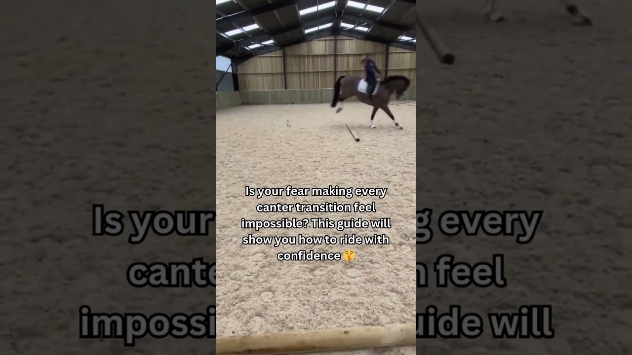 Canter transitions making you nervous?