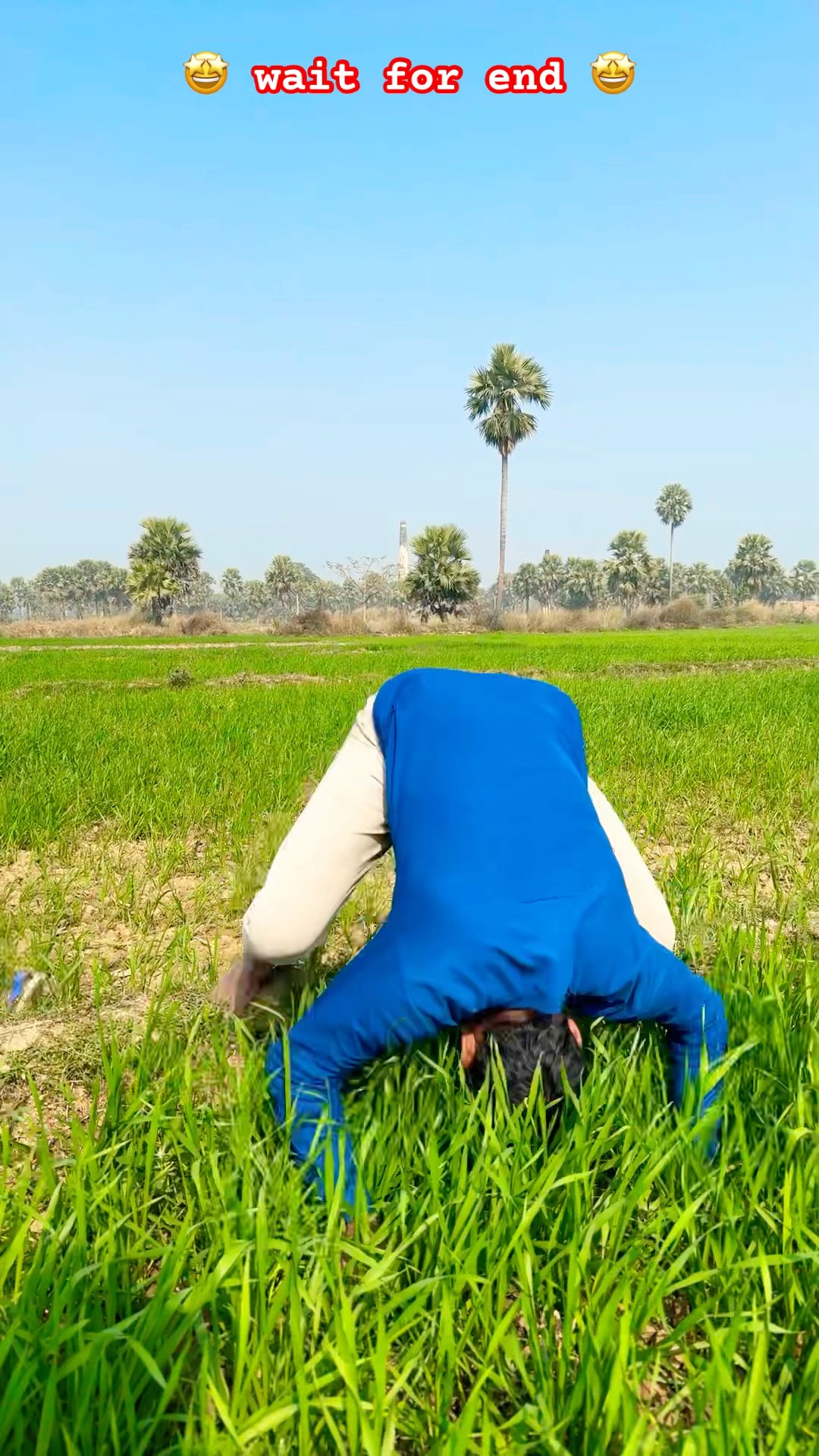 खुद के खेत में V/S दूसरों के खेत में कॉमेडी विडियो || Raushan Yadav G || #raushanyadavg #shorts
