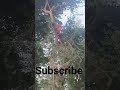 he parbhu ye kya hua chandan kumar 1530 shorts