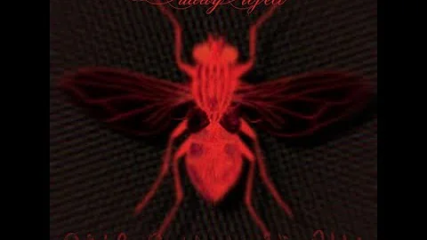 One summer fly | Peder Strandh A.K.A. the PuddyPro...
