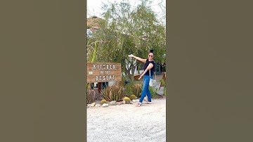 BLACK OWNED in JOSHUA TREE! 🌵 ft Kitchen In The Desert #blackownedbusiness #joshuatree #shorts