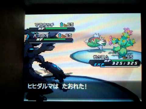 ポケモンbw2 6vキュレム ゼクロムでダブルバトルの味方も倒す Pokemon Youtube