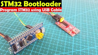 STM32 Bootloader, STM32F103C Programming using USB Port, STM32 LED Blinking, STM32 for beginners