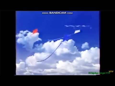 I interrupted KM2021