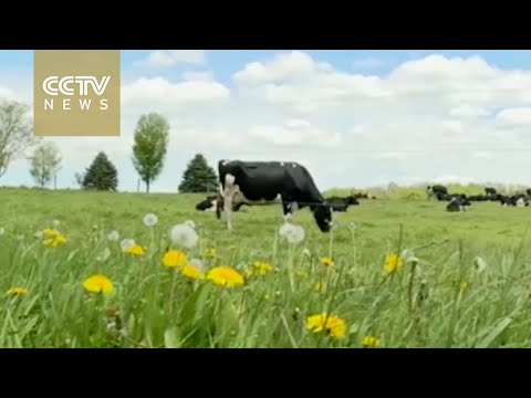 Une nouvelle étude montre que les déchets agricoles contribuent grandement à la pollution de l&#39;air