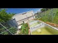 aquaponics update number 3
