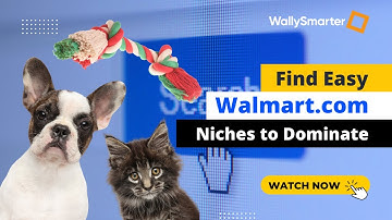 Walmart Keyword Research Made Easy - Find Profitable Walmart.com Niches to Sell In